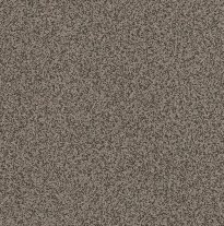 VOHRINGER PLY- PUNTINELLA